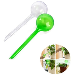 Self Watering Globe For Automatic Plant Watering