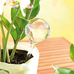 Self Watering Globe For Automatic Plant Watering
