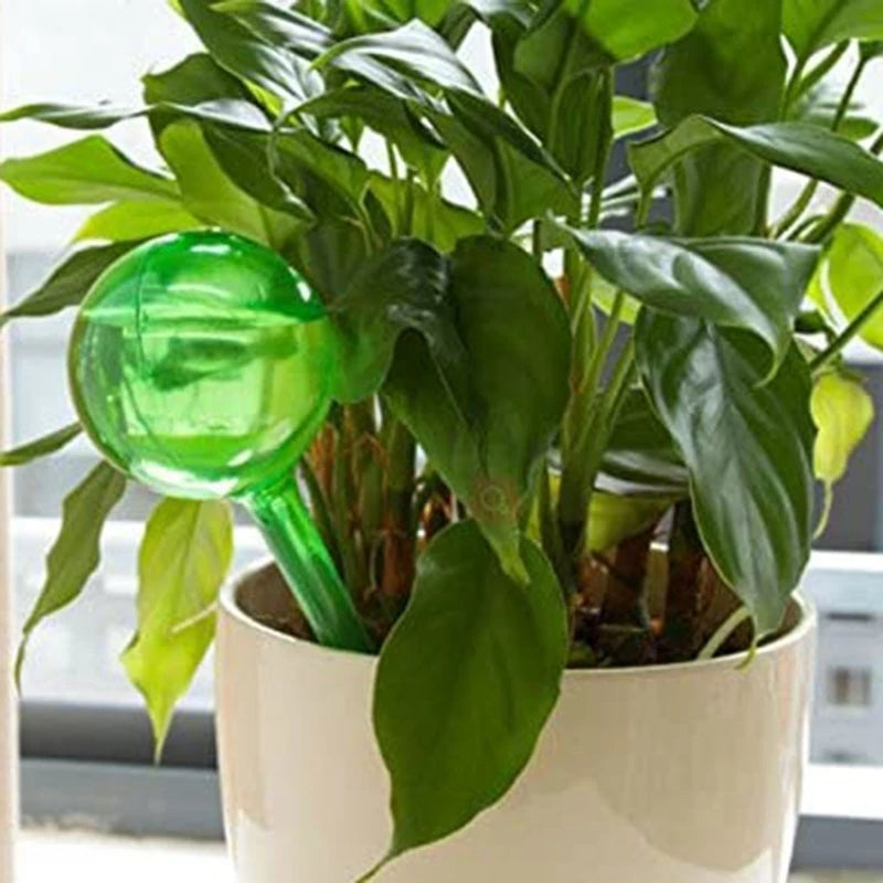 Self Watering Globe For Automatic Plant Watering