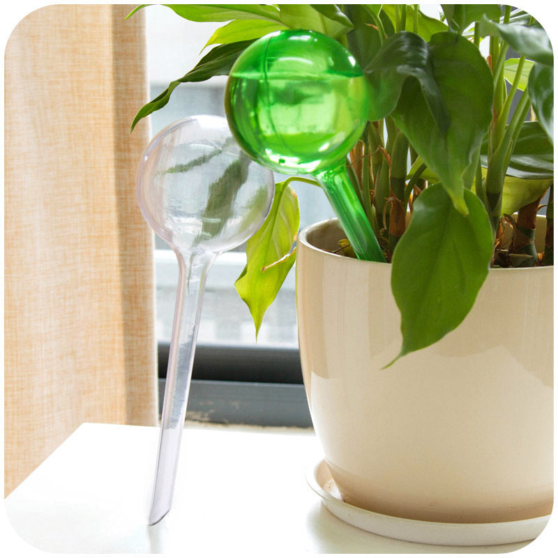 Self Watering Globe For Automatic Plant Watering