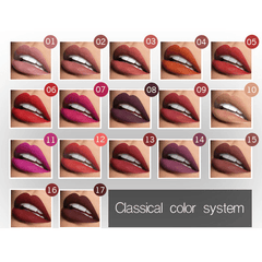 17-Color Matte Liquid Lipstick, Velvet Finish, Waterproof