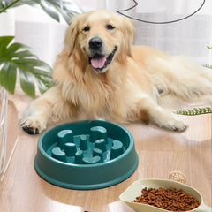 Dog Slow Feeder Bowl - Promotes Healthy Eating Habits