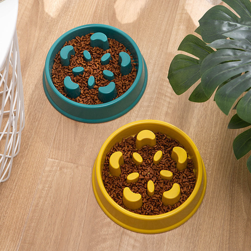 Dog Slow Feeder Bowl - Promotes Healthy Eating Habits