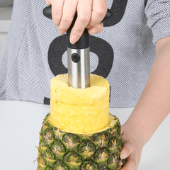 Stainless Steel Pineapple Slicer and Peeler