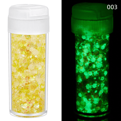 24 Colors 10g Resin Filler Luminous Sequins Glitter Epoxy Resin Filling