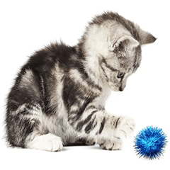 20 Colorful Flash Balls for Cats