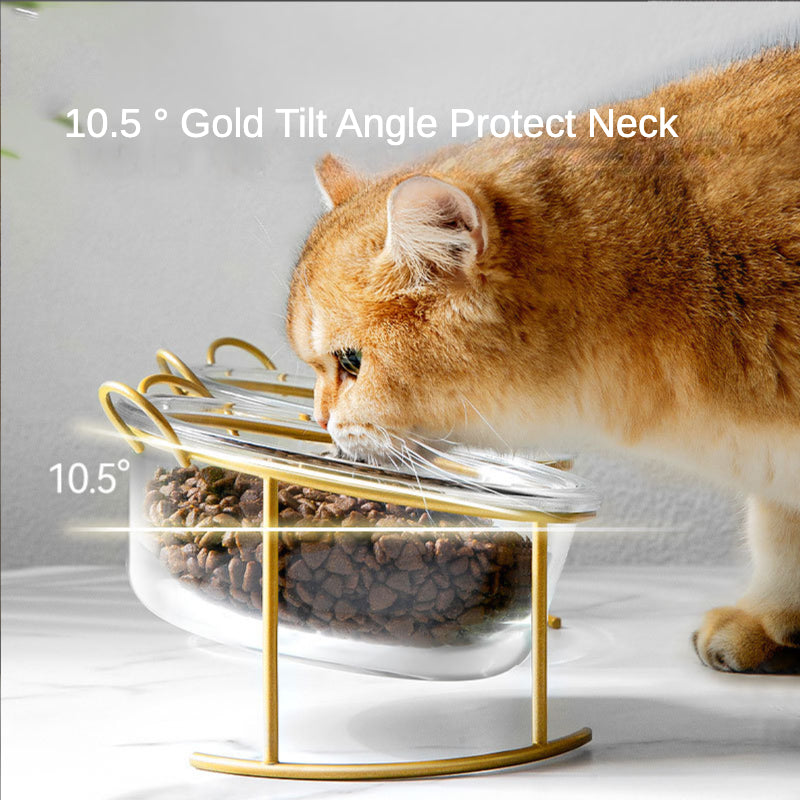 Glass Elevated Cat Bowls with Anti Slip Stand