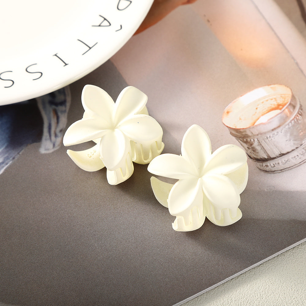2PCS Frosted Hair Claw Side Clip Set Acrylic Flower Shark Claw Hair Accessories