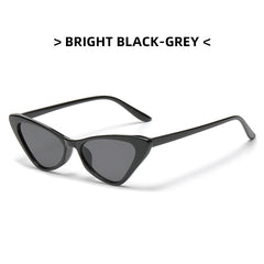 Men's Cat Eye Shape Sunglasses Retro Small Frame Glasses With Glasses Box