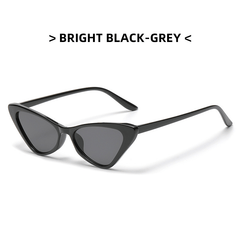 Men's Cat Eye Shape Sunglasses Retro Small Frame Glasses With Glasses Box