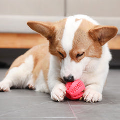 Food Leaking Rubber Chew Toy for Dogs, Interactive Molar Fun
