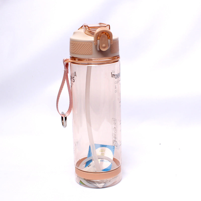 800ml Transparent Water Bottle with Straw for Outdoor Sports