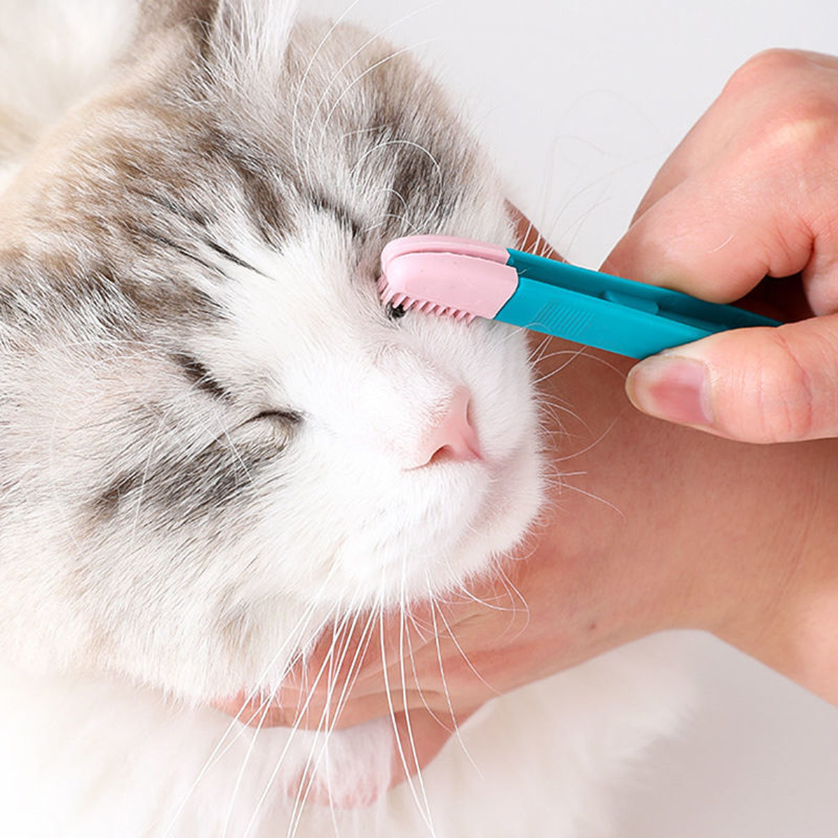 Pet Eye Comb Brush for Cats & Dogs, Grooming Tool