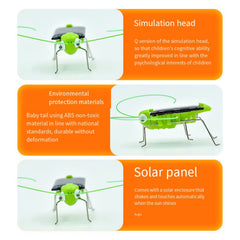 Funny Solar Powered Grasshopper Toy Puzzle for Kids