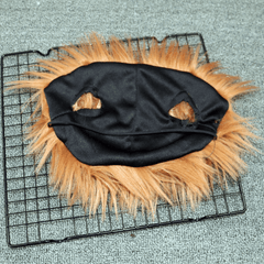 Pet Costumes for Halloween & Christmas
