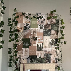 70 Sheets Greenery Wall Collage Kit 4x6 In