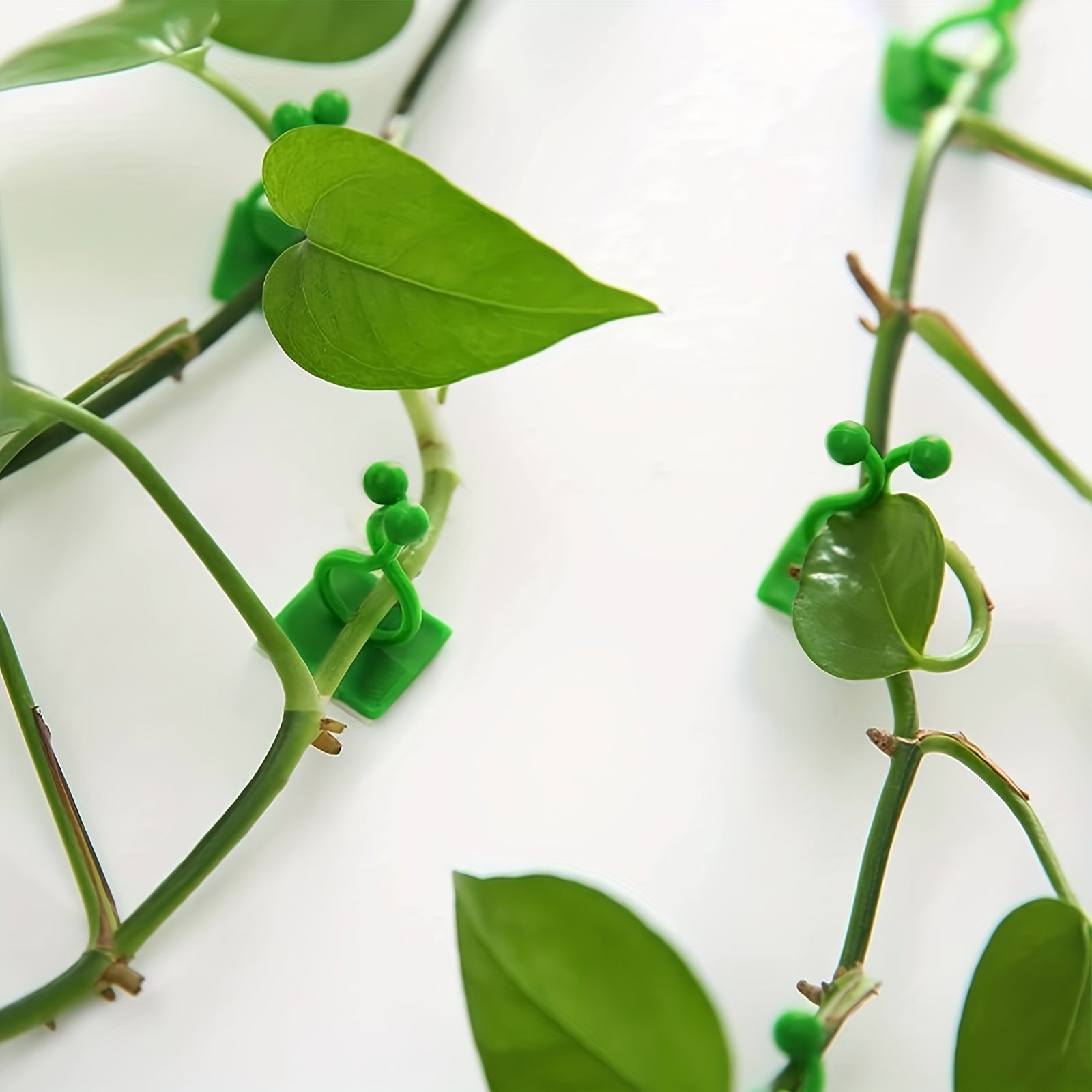 10pcs Garden Wall Plant Climber Vine Support Clips Self Adhesive