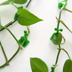 10pcs Garden Wall Plant Climber Vine Support Clips Self Adhesive