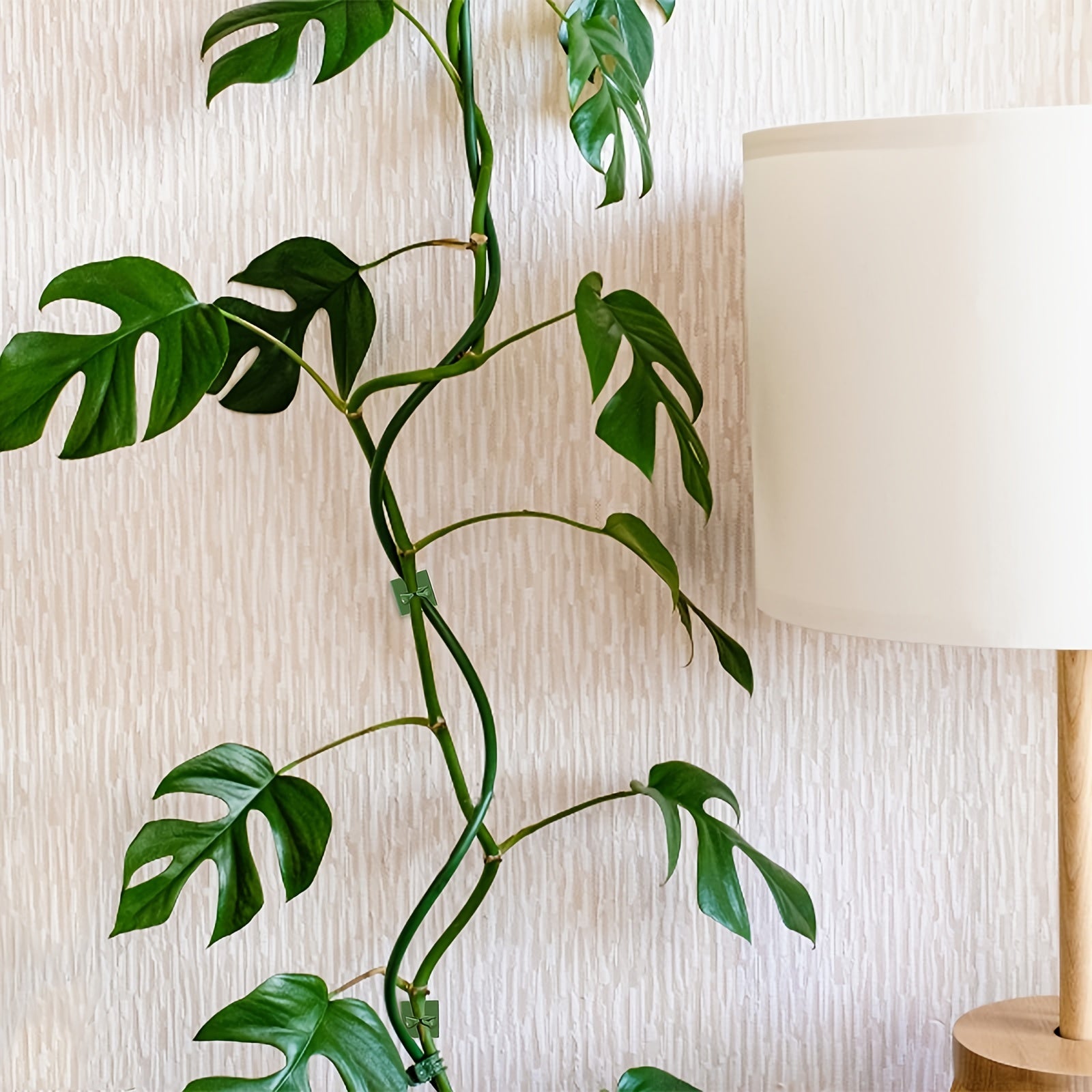 10pcs Garden Wall Plant Climber Vine Support Clips Self Adhesive