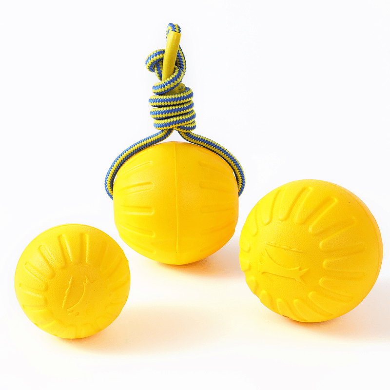 Durable Dog Chew Toy with Rope for Interactive Play and Training