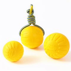 Durable Dog Chew Toy with Rope for Interactive Play and Training