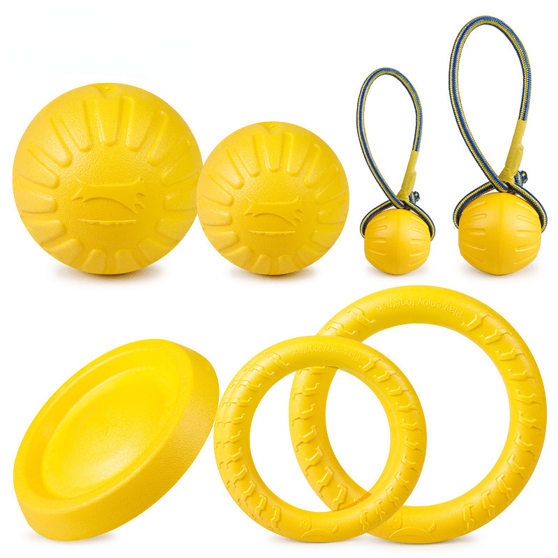 Durable Dog Chew Toy with Rope for Interactive Play and Training