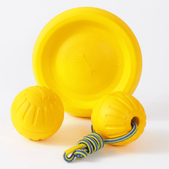 Durable Dog Chew Toy with Rope for Interactive Play and Training