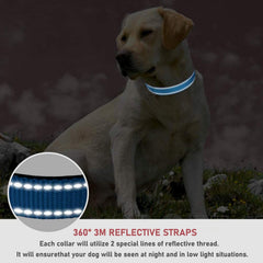 Reflective Nylon Dog Collar with Adjustable Buckle for Small, Medium, Large Dogs