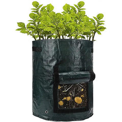 Potato Growing Bags 10 Gallon Planting Pouch Vegetable Grow Container