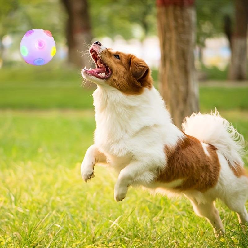 Luminous Dog Flashing Ball Toy Elastic Dog Interactive Chasing Chew Toy