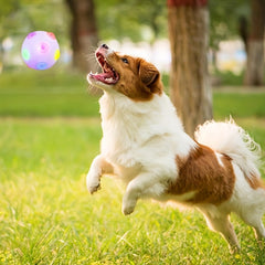 Luminous Dog Flashing Ball Toy Elastic Dog Interactive Chasing Chew Toy