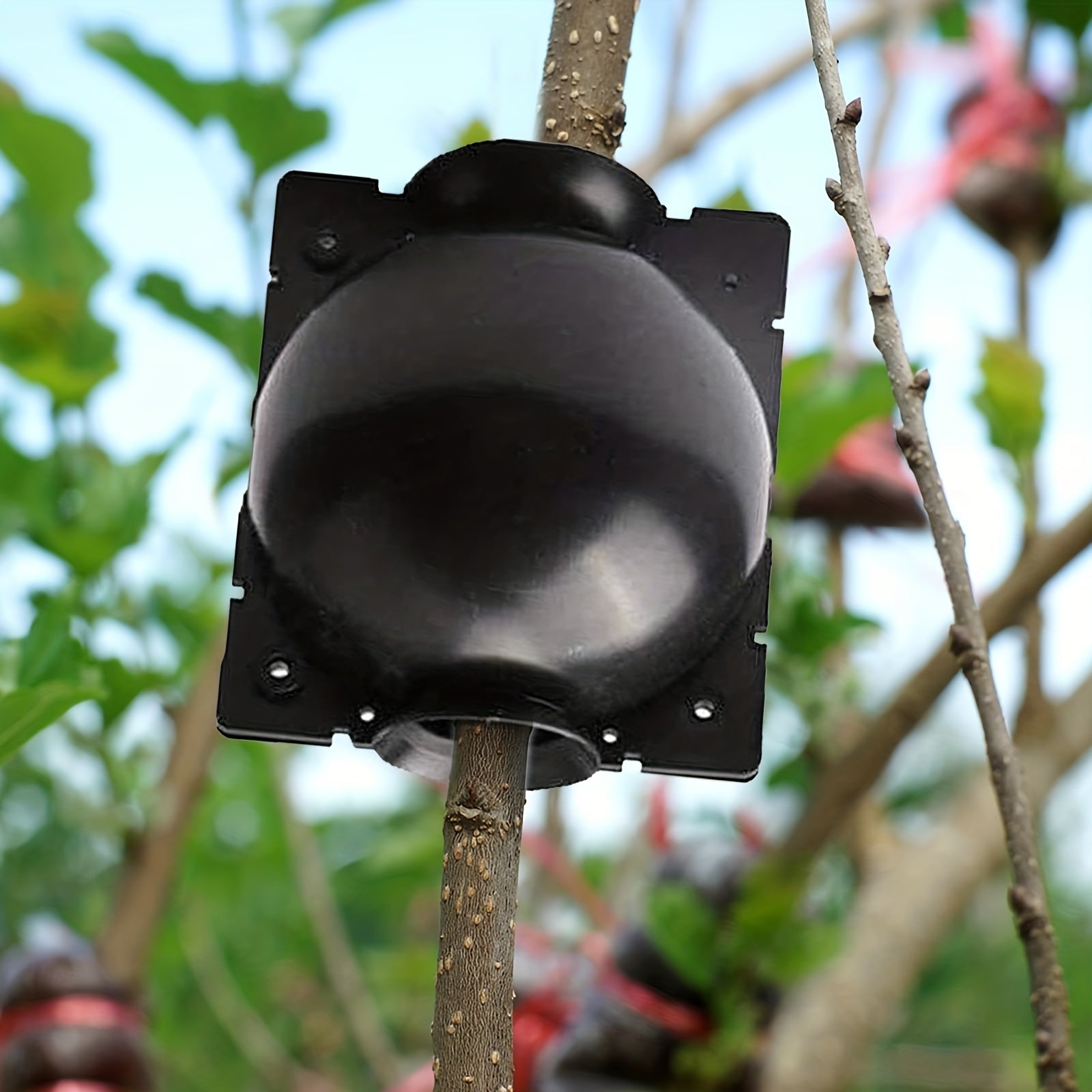 5pcs 12pcs Reusable Plant Root Growing Box for Cutting Grafting Rooting