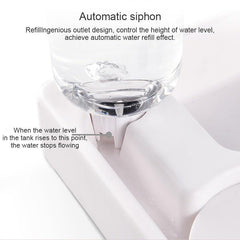Multifunctional Pet Bowl with Automatic Water Bottle for Dogs and Cats