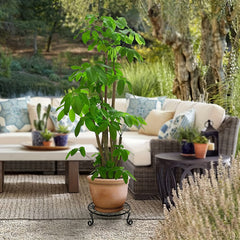 2pcs Plant Stand Heavy Duty Potted Holder Indoor Outdoor Metal