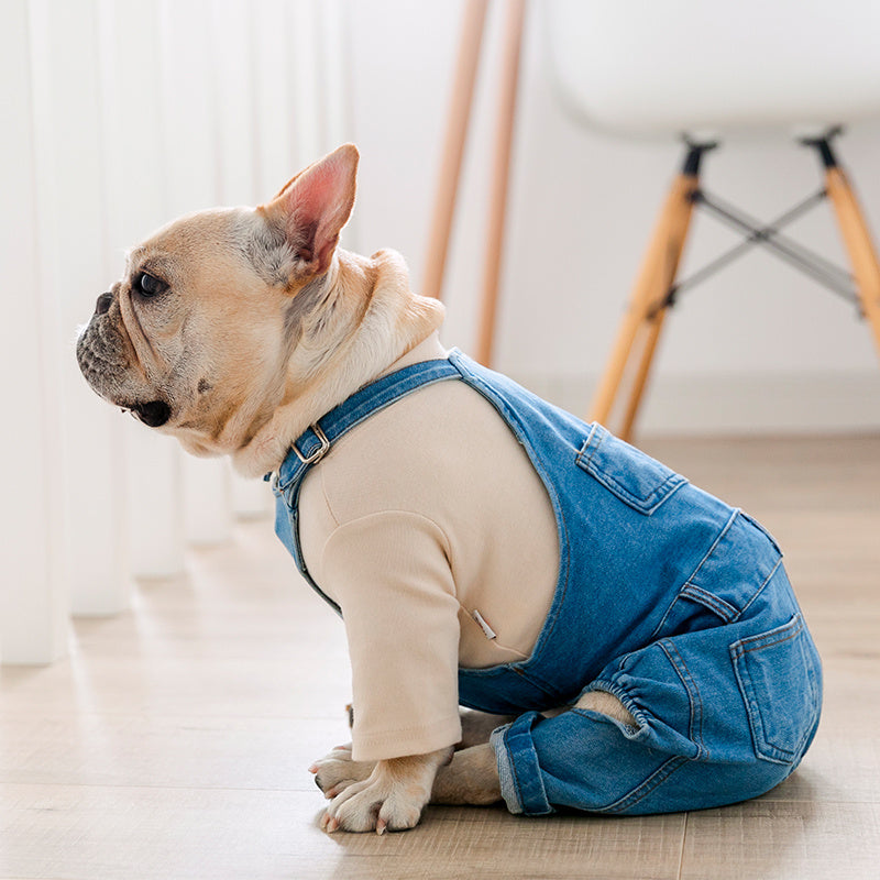 Adjustable Denim Jumpsuit for French Bulldogs