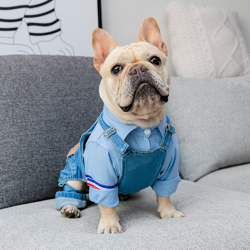 Adjustable Denim Jumpsuit for French Bulldogs