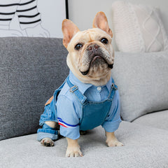 Adjustable Denim Jumpsuit for French Bulldogs