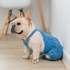 Adjustable Denim Jumpsuit for French Bulldogs