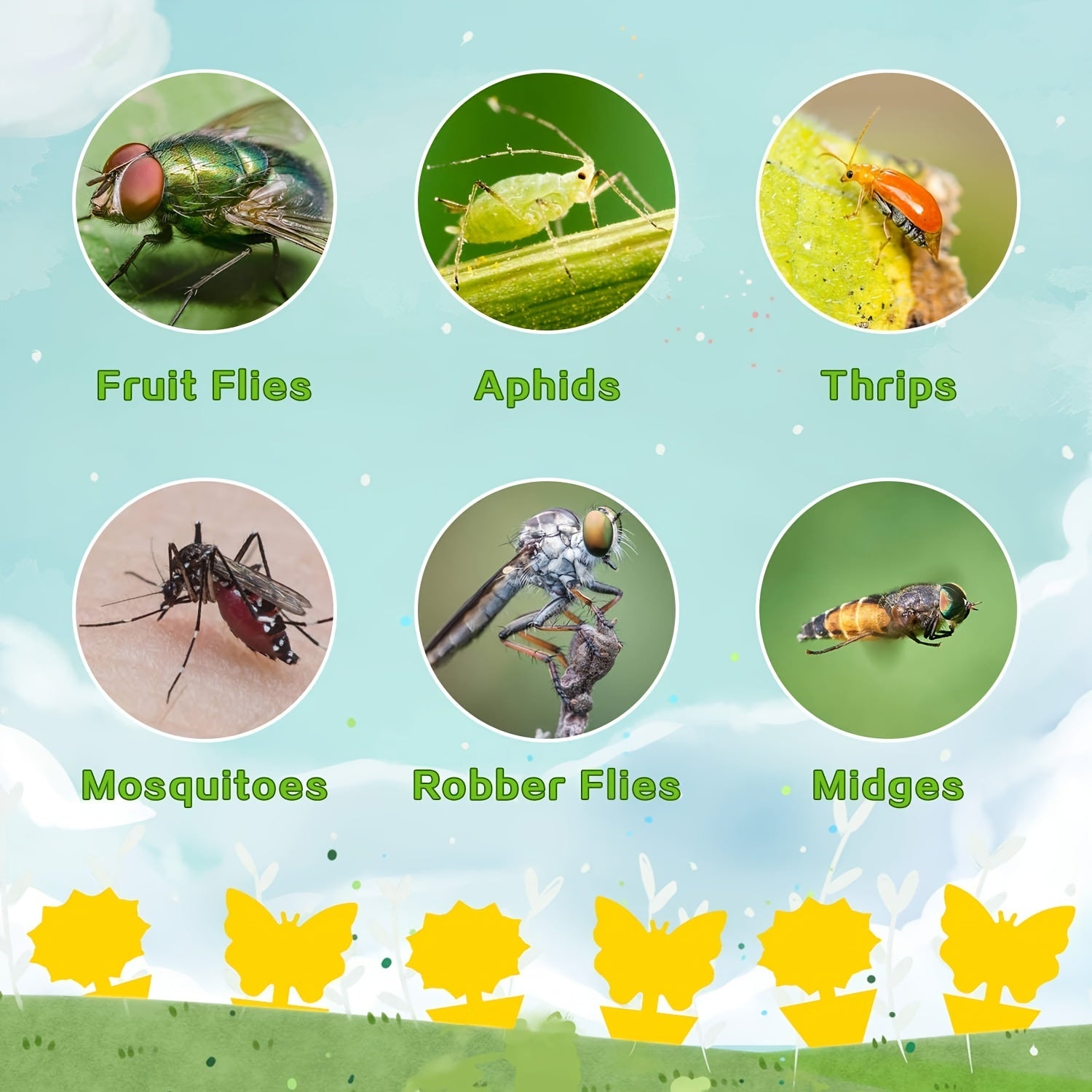 Yellow Sticky Bug Traps Non-Toxic & Odorless (Set of 1)