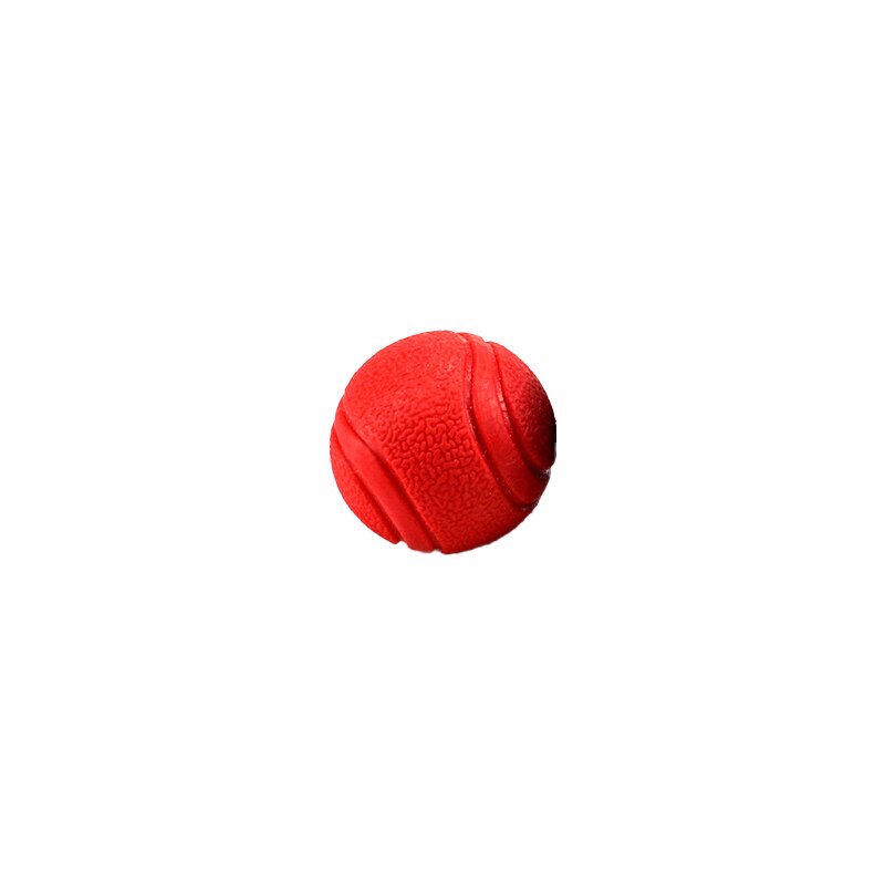 Durable Rubber Dog Toy for Outdoor Play and Training