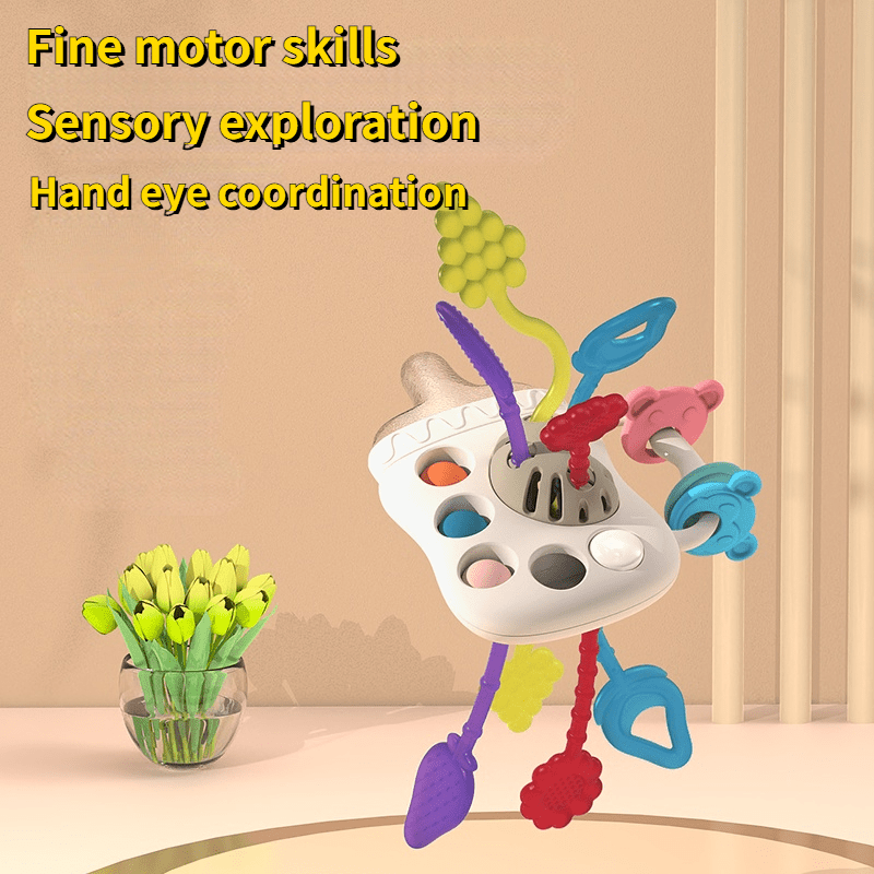6 in 1 Montessori Baby Toys 6-12 Months Finger Grasping Exercise