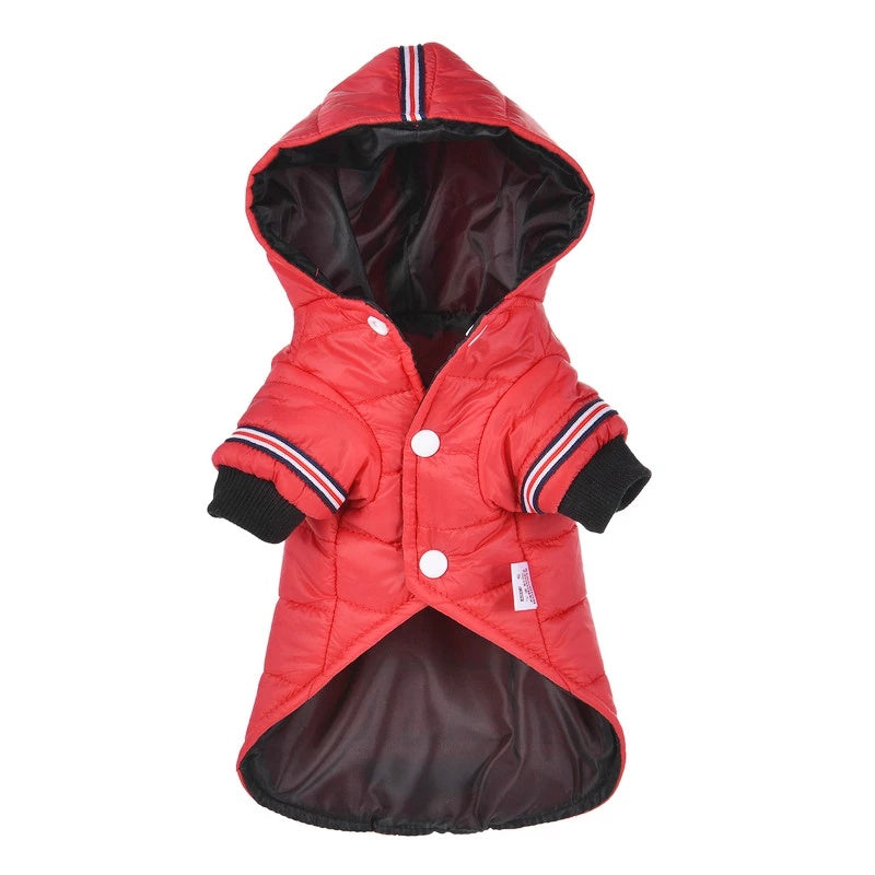 Waterproof Pet Outfits for Winter Warmth