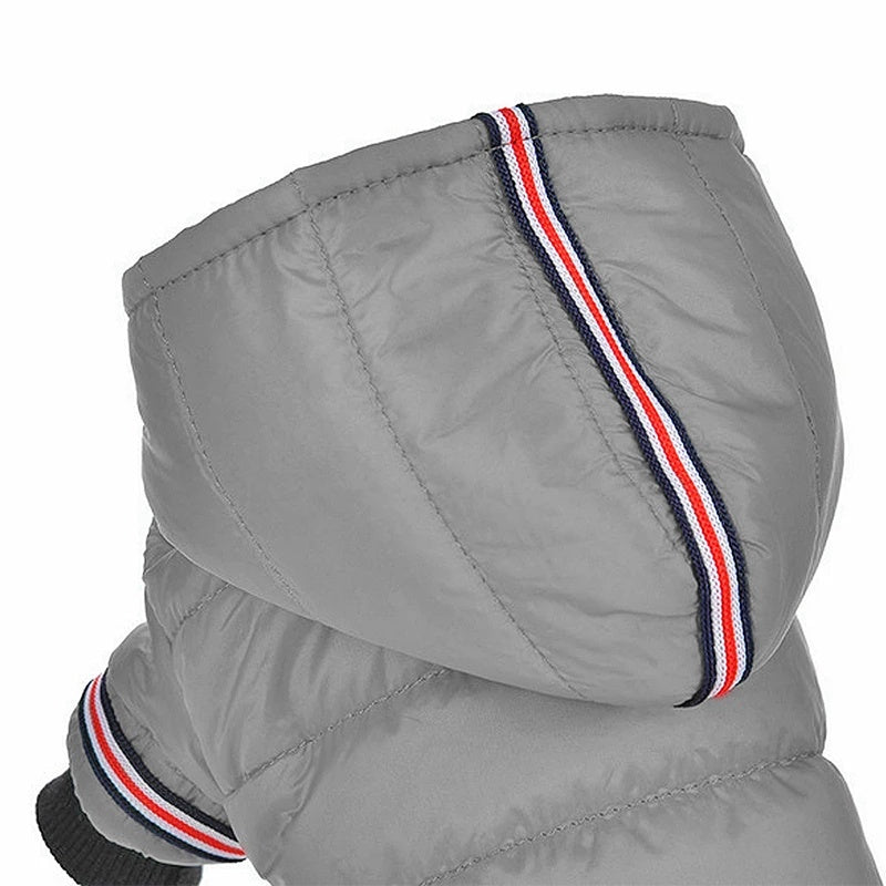 Waterproof Pet Outfits for Winter Warmth