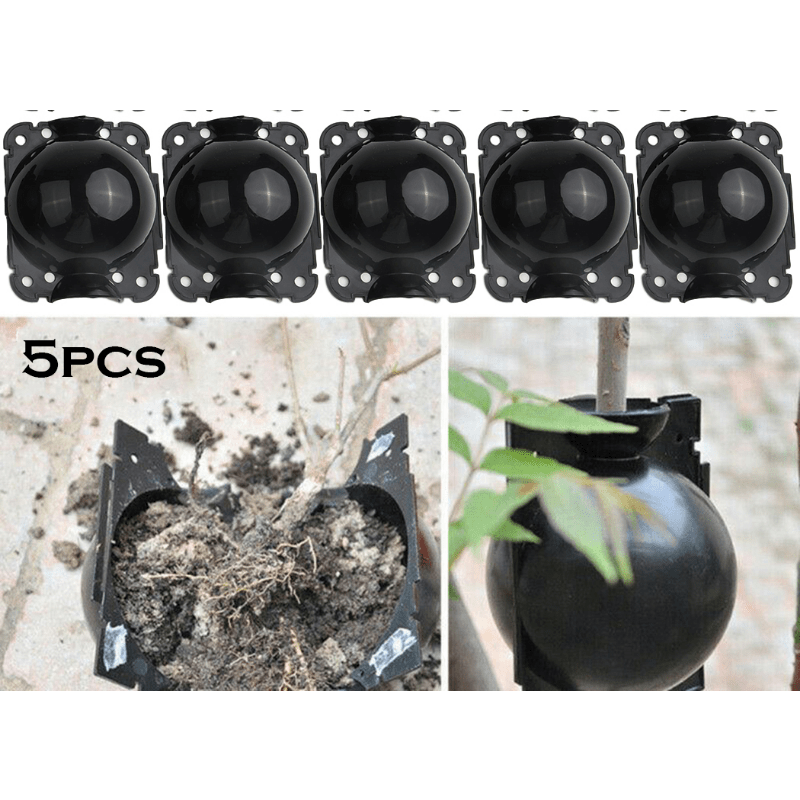 10pcs Plant High Pressure Propagation Box Grafting Rooting Device