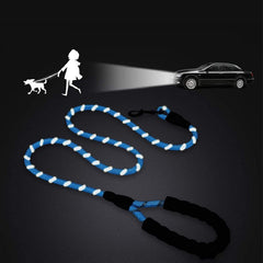 Reflective Dog Leash for Walking & Training Small Medium Large Dogs