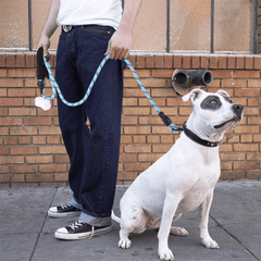 Reflective Dog Leash for Walking & Training Small Medium Large Dogs