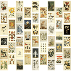50pcs Vintage Collection Postcards Set Retro Style Plants Butterfly Mushroom