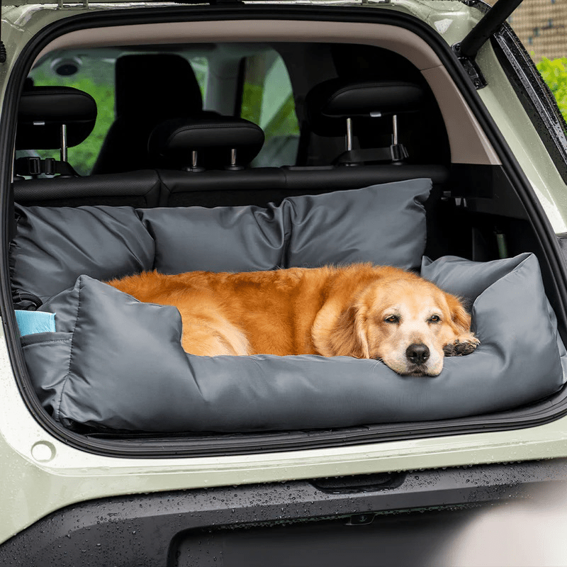 Waterproof Dog Bed & Folding Pet Carrier