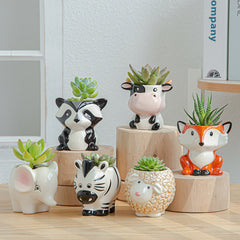 Cute Cartoon Animal Succulent Planter