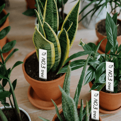 100pcs Waterproof Nursery Plant Labels for Garden
